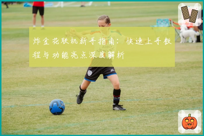 炸金花联机新手指南:快速上手教程与功能亮点深度解析