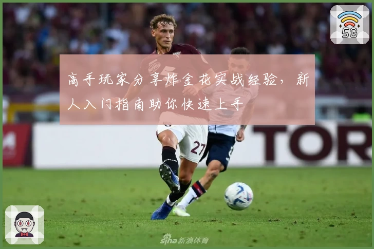 高手玩家分享炸金花实战经验，新人入门指南助你快速上手