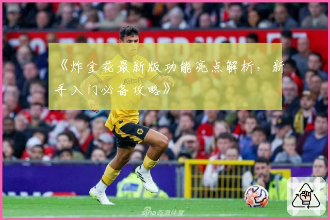《炸金花最新版功能亮点解析,新手入门必备攻略》
