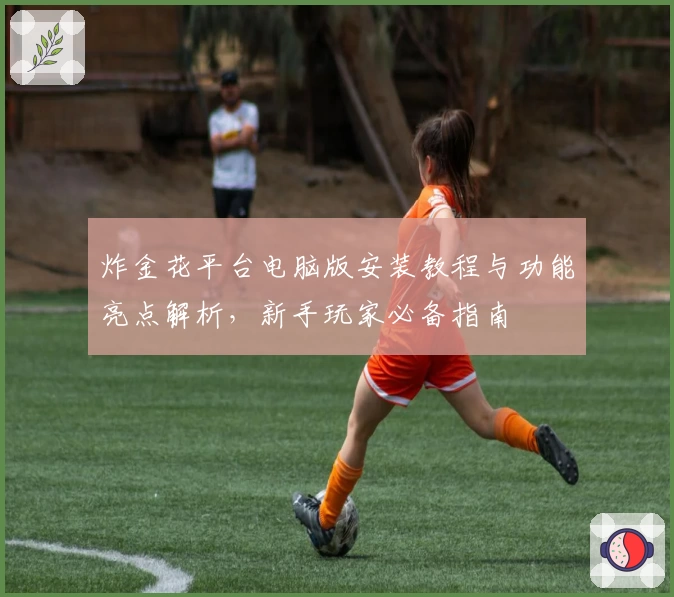 炸金花平台电脑版安装教程与功能亮点解析，新手玩家必备指南