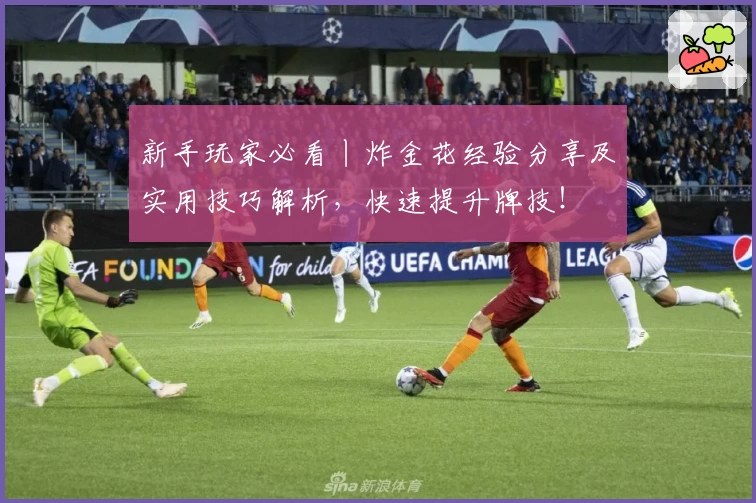 新手玩家必看丨炸金花经验分享及实用技巧解析,快速提升牌技!