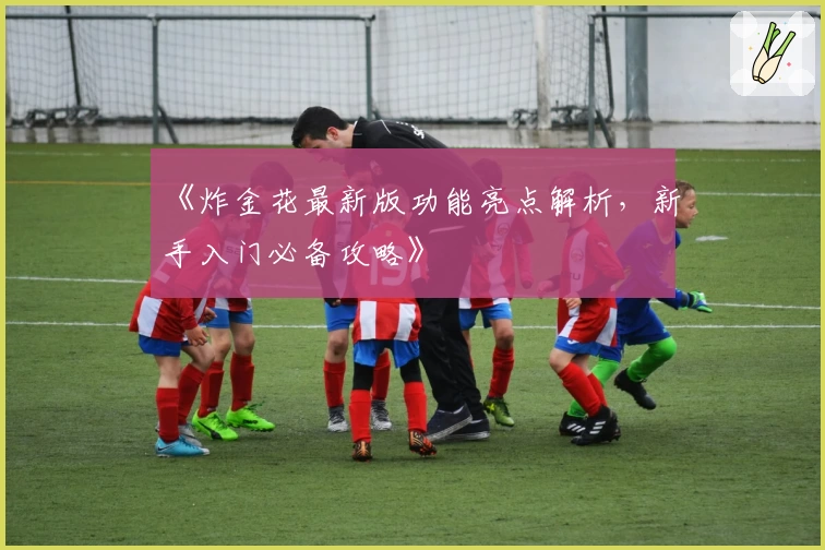 《炸金花最新版功能亮点解析，新手入门必备攻略》