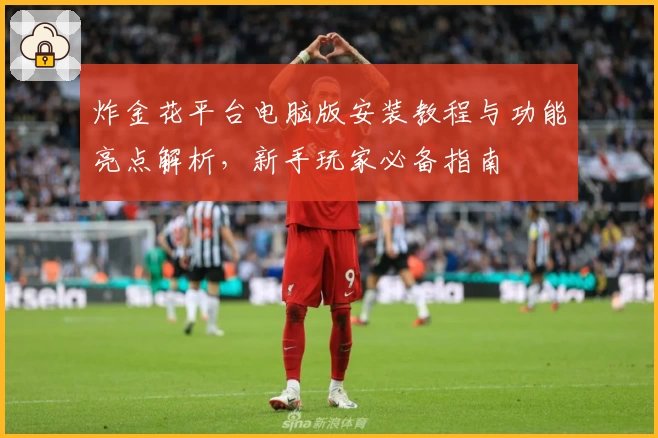 炸金花平台电脑版安装教程与功能亮点解析,新手玩家必备指南