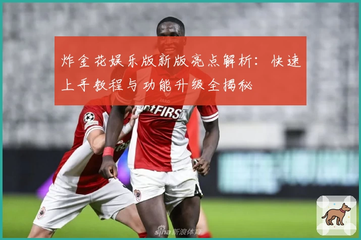 炸金花娱乐版新版亮点解析:快速上手教程与功能升级全揭秘