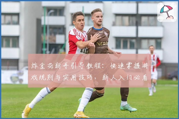 炸金花新手引导教程：快速掌握游戏规则与实用技巧，新人入门必看攻略！