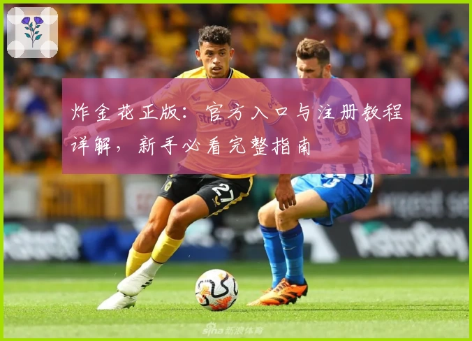 炸金花正版：官方入口与注册教程详解，新手必看完整指南