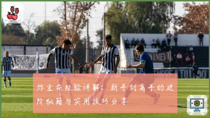 炸金花经验详解：新手到高手的进阶秘籍与实用技巧分享