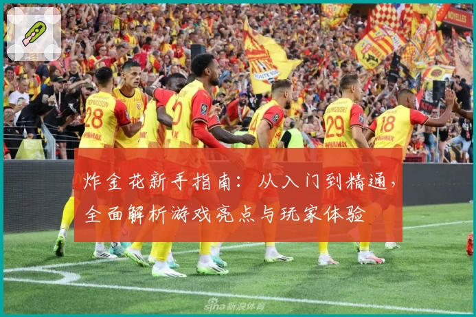 炸金花新手指南:从入门到精通,全面解析游戏亮点与玩家体验