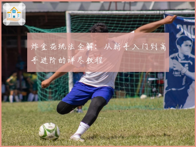炸金花玩法全解：从新手入门到高手进阶的详尽教程
