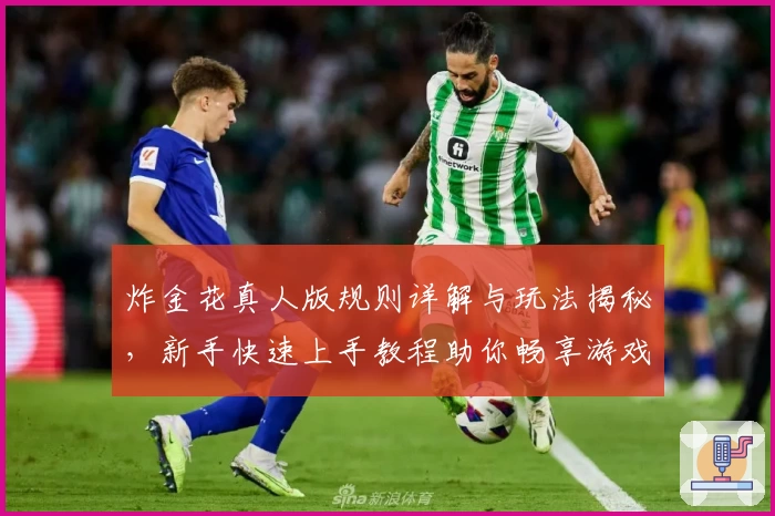 炸金花真人版规则详解与玩法揭秘，新手快速上手教程助你畅享游戏乐趣